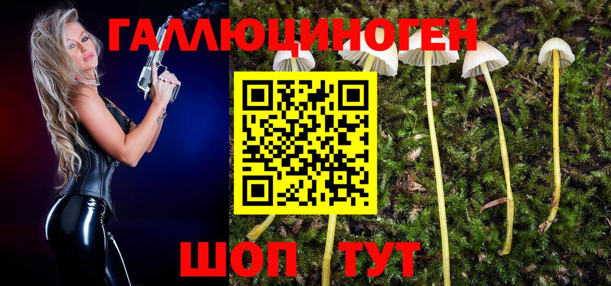 что такое   Вход с VPN  Кызыл  Галлюциногенные грибы Psilocybine cubensis 